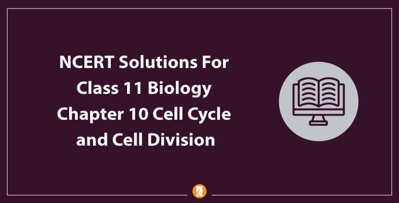 NCERT-Solutions-For-Class-11-Biology-Chapter-10-Cell-Cycle-and-Cell-Division