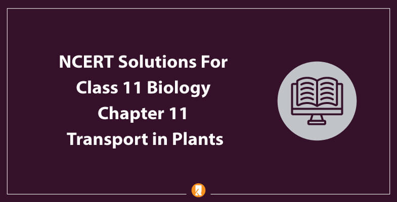 NCERT-Solutions-For-Class-11-Biology-Chapter-11-Transport-in-Plants