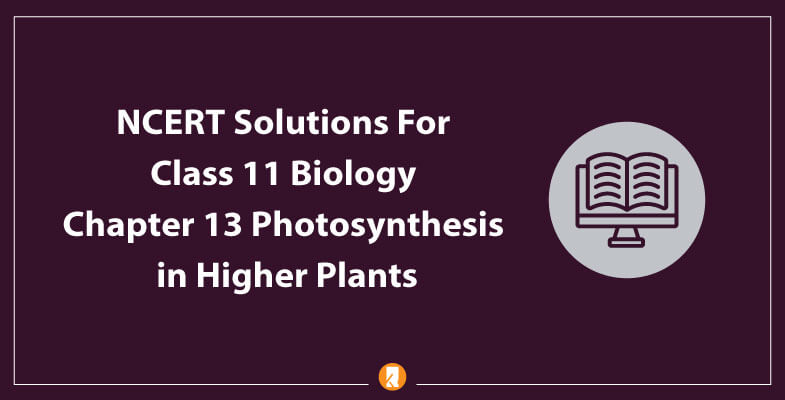 NCERT-Solutions-For-Class-11-Biology-Chapter-13-Photosynthesis-in-Higher-Plants