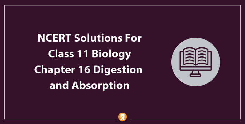 NCERT-Solutions-For-Class-11-Biology-Chapter-16-Digestion-and-Absorption