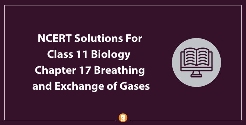 NCERT-Solutions-For-Class-11-Biology-Chapter-17-Breathing-and-Exchange-of-Gases