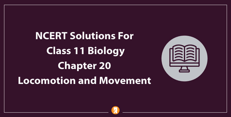 NCERT-Solutions-For-Class-11-Biology-Chapter-20-Locomotion-and-Movement