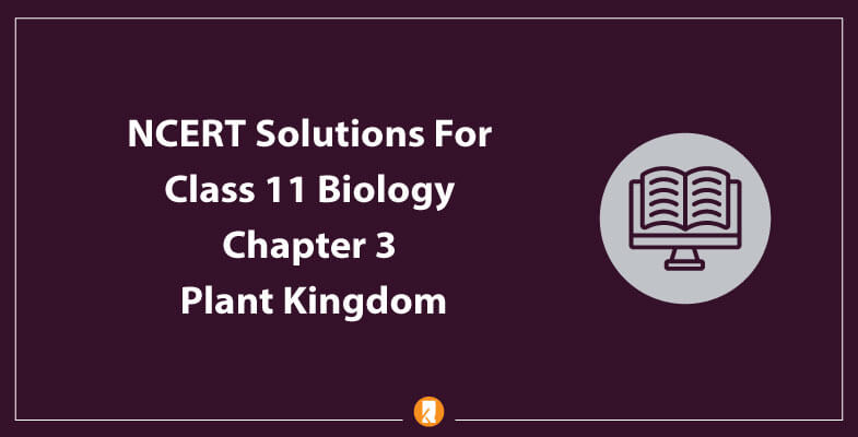 NCERT-Solutions-For-Class-11-Biology-Chapter-3-Plant-Kingdom