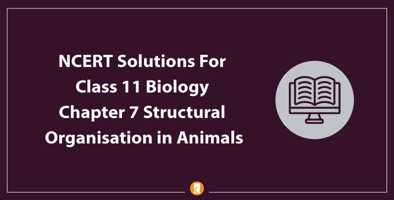 NCERT-Solutions-For-Class-11-Biology-Chapter-7-Structural-Organisation-in-Animals
