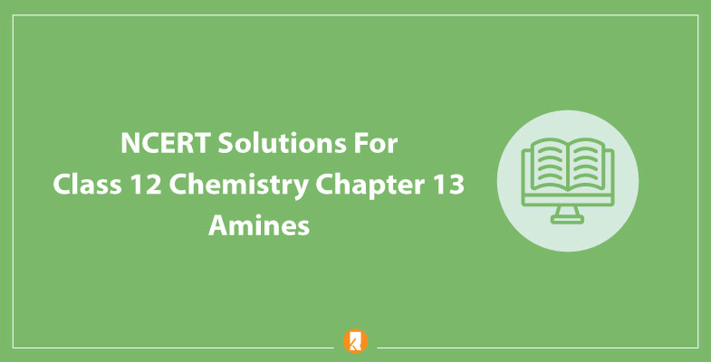 NCERT Solutions For Class 12 Chemistry Chapter 13 Amines