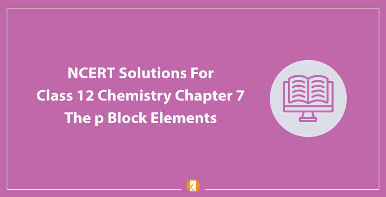 NCERT Solutions For Class 12 Chemistry Chapter 7 The p Block Elements