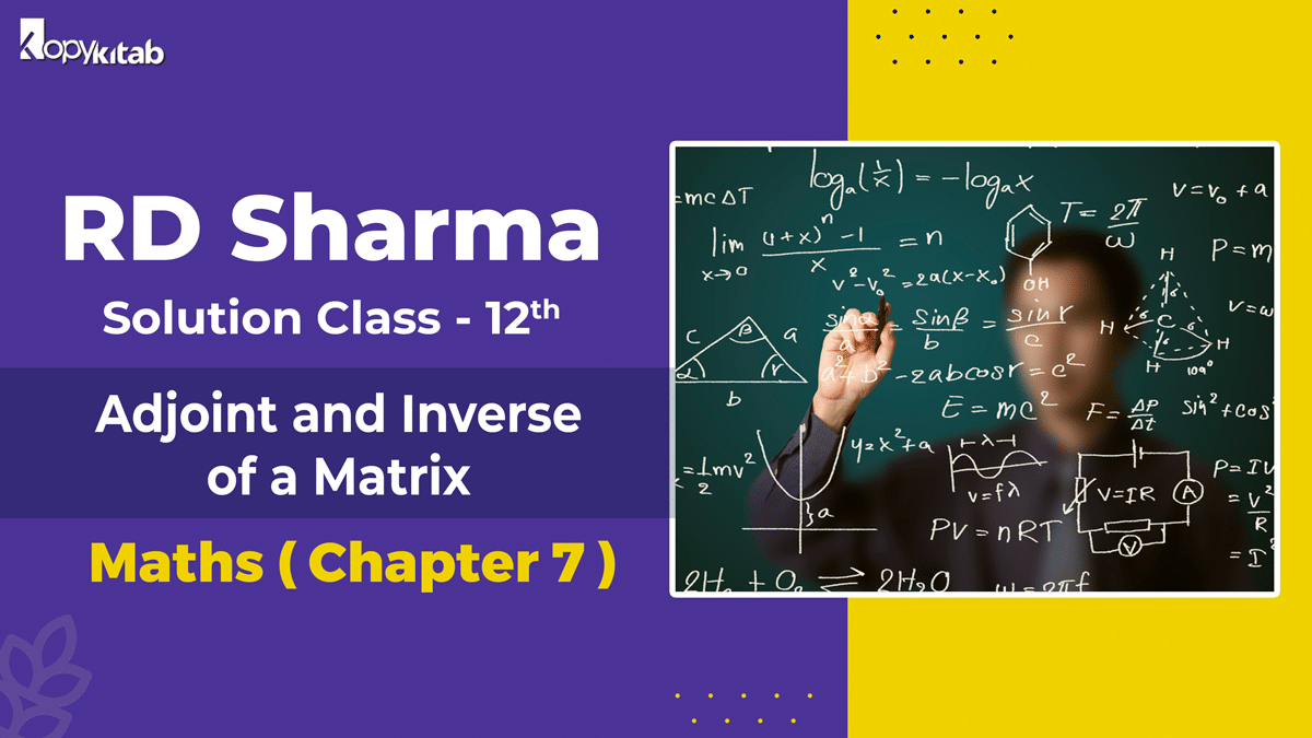 RD Sharma Solutions Class 12 Maths Chapter 7