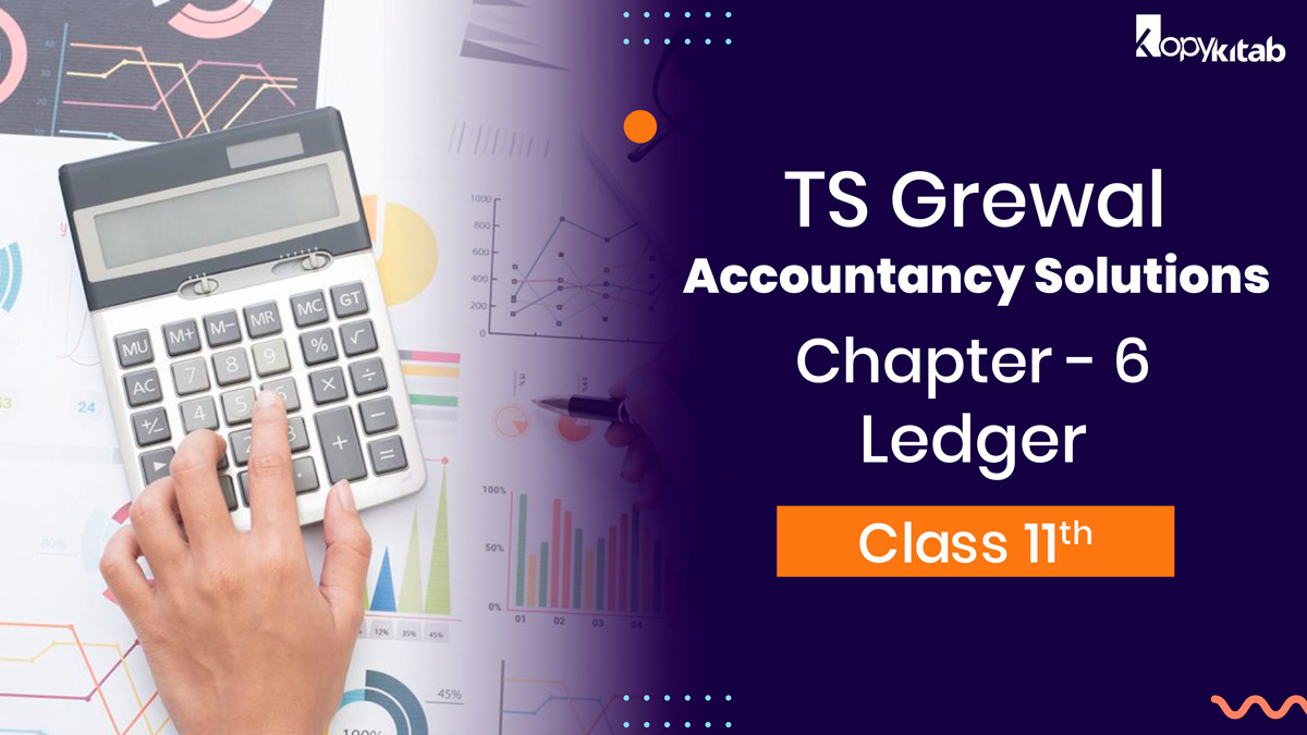 TS Grewal Class 11 Accountancy Solutions Chapter 6 – Ledger