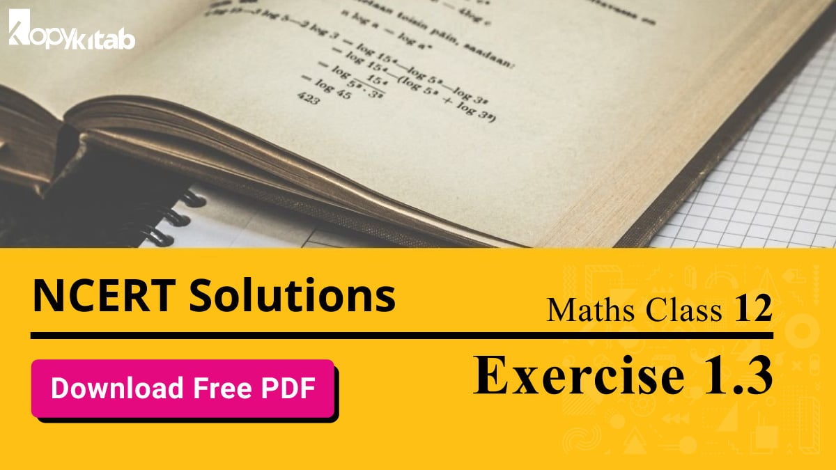NCERT Solutions Class 12 Maths Chapter 1 Exercise 1.3