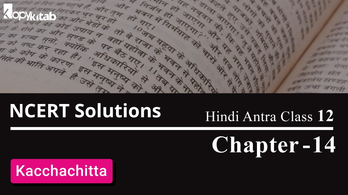 NCERT Solutions for Class 12 Hindi Antra Chapter 14 – Kacchachitta