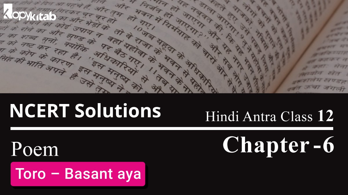 NCERT Solutions for Class 12 Hindi Antra Chapter 6 Poem