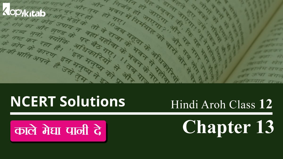 NCERT Solutions for Class 12 Hindi Aroh Chapter 13