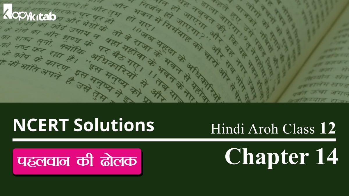 NCERT Solutions for Class 12 Hindi Aroh Chapter 14