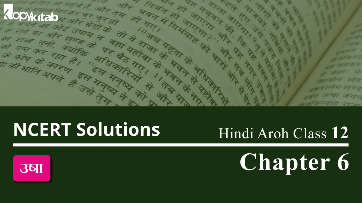 NCERT Solutions for Class 12 Hindi Aroh Chapter 6