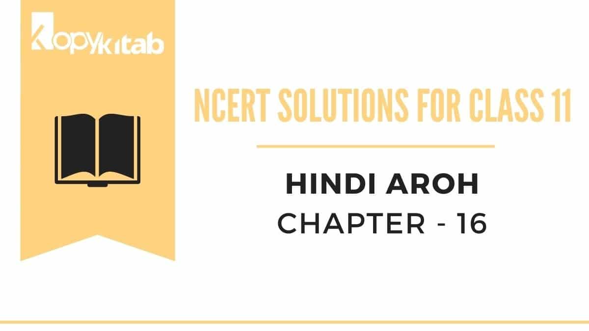 NCERT Solutions For Class 11 Hindi Aroh Chapter 16